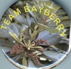 Team Bayberry