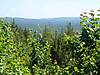 9View_from_Fosters.jpg 9View_from_Fosters.jpg
