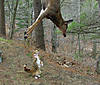 25DSC00003_edited.JPG 25DSC00003_edited.JPG