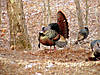 25DSC00024_edited.JPG