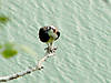 25DSC00058_edited1.JPG 25DSC00058_edited1.JPG
