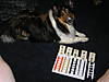 P7310002.JPG P7310002.JPG